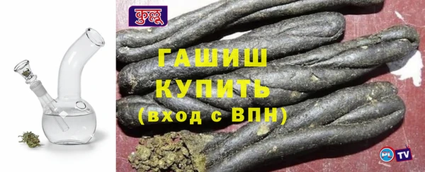 стаф Горняк