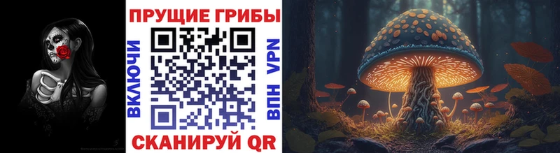 Псилоцибиновые грибы Cubensis  Дорогобуж 